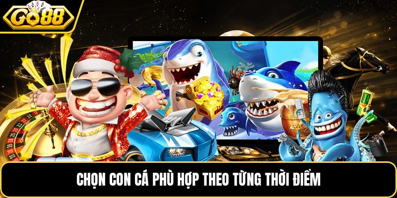 Chọn con cá phù hợp theo từng thời điểm